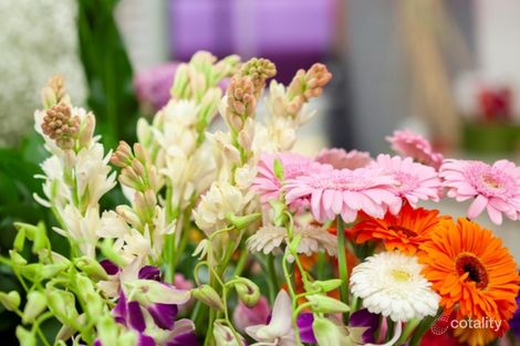 Property photo of 31 Rose Street Manjimup WA 6258