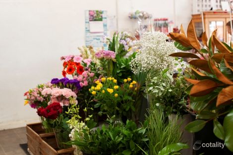 Property photo of 31 Rose Street Manjimup WA 6258