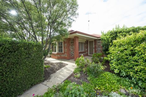 Property photo of 1/9 Herbert Street Risdon Park SA 5540