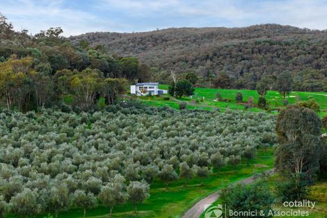 Property photo of 117 Sugarloaf Lane Beechworth VIC 3747