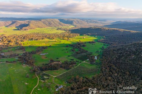 Property photo of 117 Sugarloaf Lane Beechworth VIC 3747
