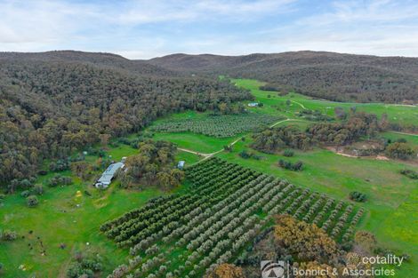 Property photo of 117 Sugarloaf Lane Beechworth VIC 3747