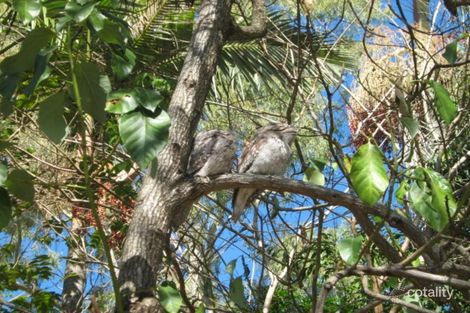 Property photo of 1 Mitchell Court Mount Ommaney QLD 4074