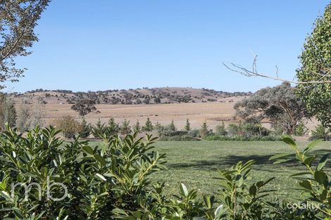 Property photo of 215 Jennings Lane Molong NSW 2866