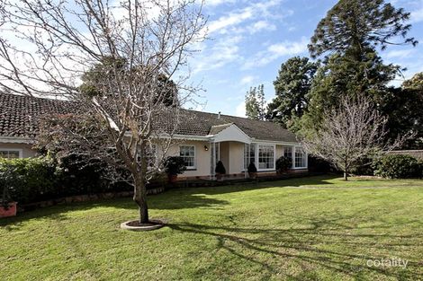 Property photo of 16 Angas Road Hawthorn SA 5062