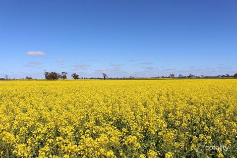 16439 Dukes Hwy, Cannawigara, SA 5268