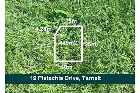 19 Pistachia Dr, Tarneit, VIC 3029
