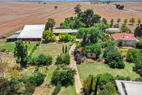 Property photo of 5384 Balaklava Road Auburn SA 5451