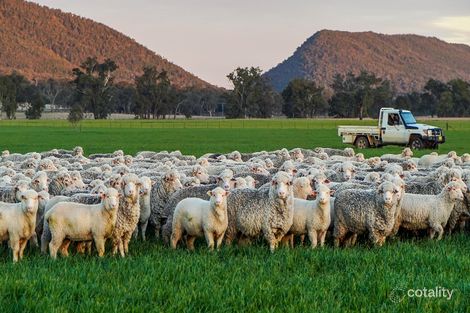 2196 Olympic Hwy, Bendick Murrell, NSW 2803