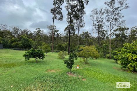 Property photo of 55 Peppertree Rise Tamaree QLD 4570