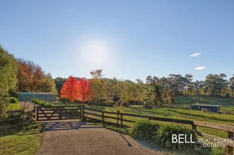 Property photo of 285 Macclesfield Road Macclesfield VIC 3782