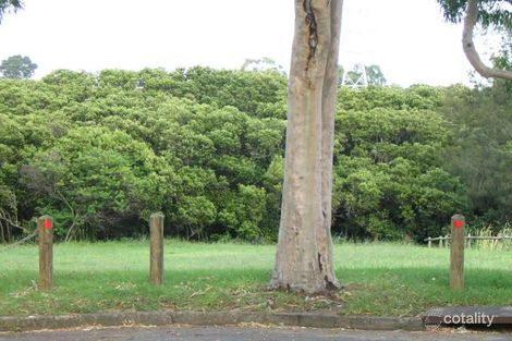 9 Basil St, Riverwood, NSW 2210