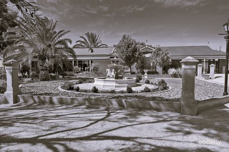 Property photo of 358 Taplan Road Loxton SA 5333