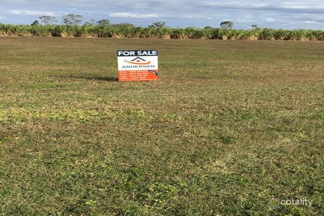 Property photo of 184 Kilrie Road McDesme QLD 4807