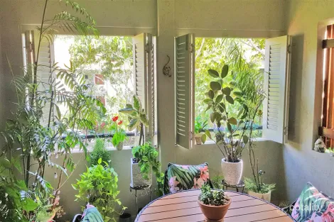 Property photo of 16 Beachside Close Palm Cove QLD 4879