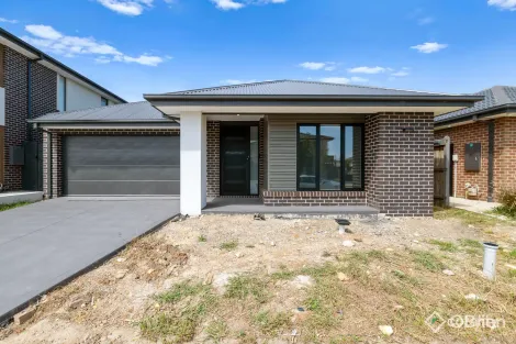 19 Spindle St, Clyde North, VIC 3978