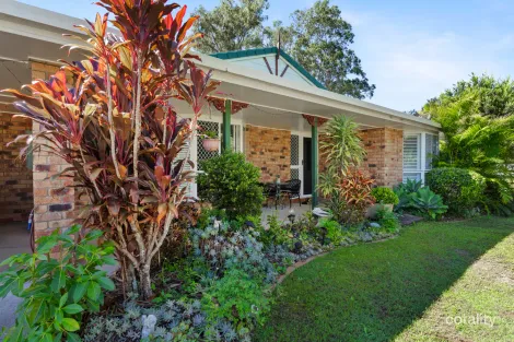 Property photo of 60 Allira Crescent Carseldine QLD 4034