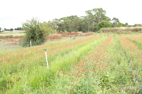 210 Clyde-Five Ways Rd, Clyde, VIC 3978