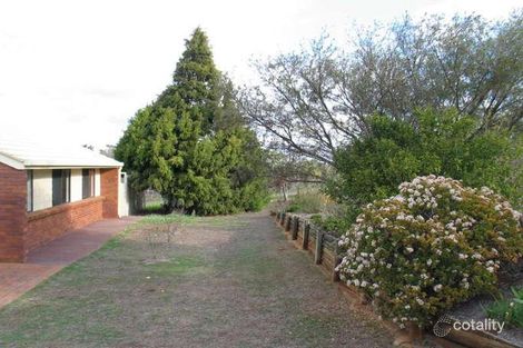 Property photo of 3 Banyula Drive Torrington QLD 4350