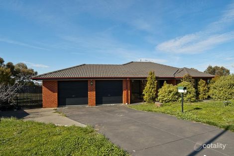 Property photo of 6 Conway Court Highton VIC 3216