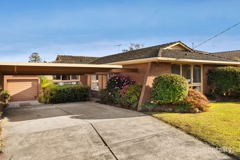 43 Orchard St, Glen Waverley, VIC 3150