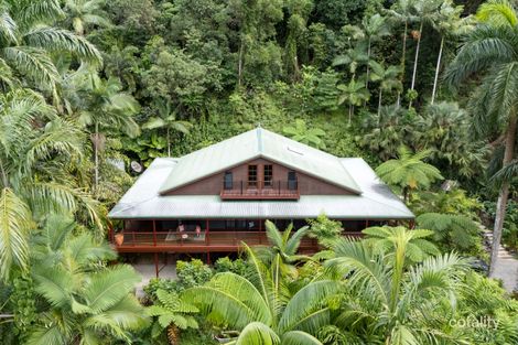 Property photo of 63 Whiteley Road Miallo QLD 4873