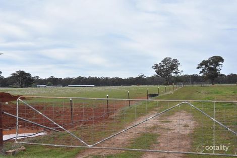 Property photo of 4939 Goldfields Way Temora NSW 2666