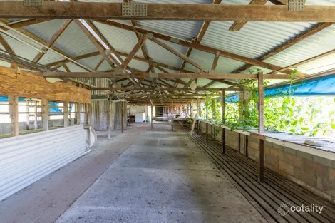 Property photo of 3422 Gwydir Highway Jackadgery NSW 2460