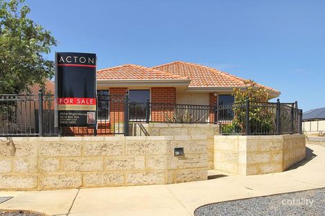 81 Celebration Bvd, Clarkson, WA 6030