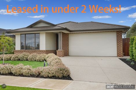 60 Bandicoot Loop, Tarneit, VIC 3029