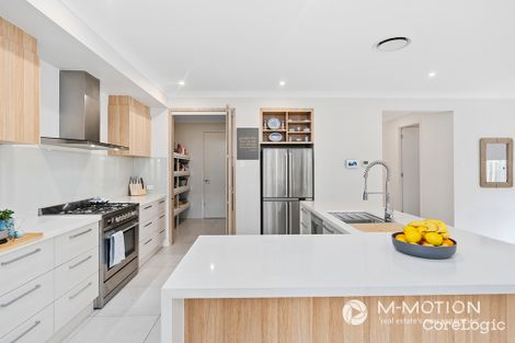 Property photo of 8 Diana Avenue Burleigh Heads QLD 4220