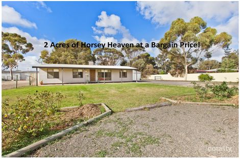 36 Pederick Rd, Lewiston, SA 5501