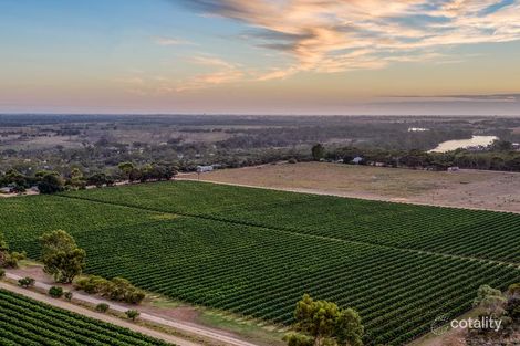 Property photo of 3127 Kingston Road Loxton SA 5333