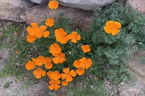 7 Ryan St, Stanthorpe, QLD 4380