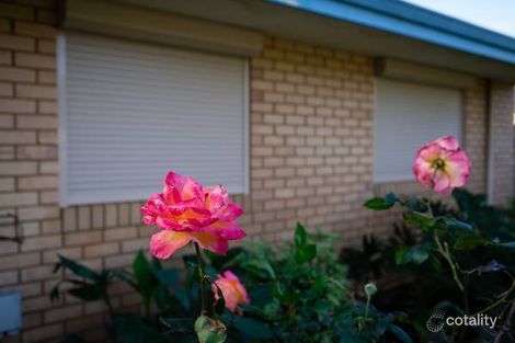 Property photo of 9 Sullivan Court Spalding WA 6530