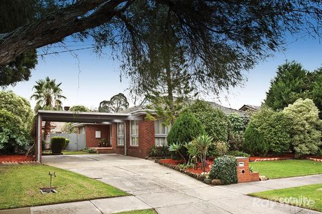 Property photo of 57 Guinevere Parade Glen Waverley VIC 3150