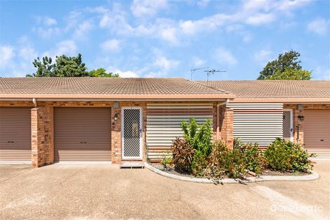 Property photo of 3/29-31 Ackers Street Hermit Park QLD 4812