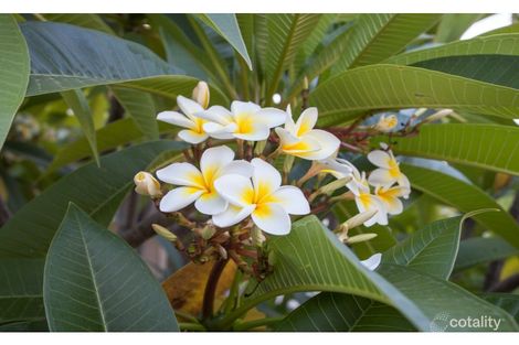 Property photo of 25 Cedar Drive Stapylton QLD 4207