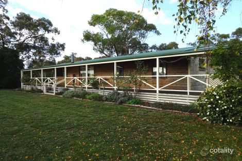 Property photo of 26 Barnoolut Road Moorak SA 5291