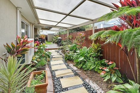 Property photo of 24 Tibouchina Street Mountain Creek QLD 4557