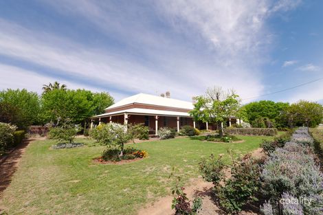 Property photo of 42 Forbes Street Gooloogong NSW 2805