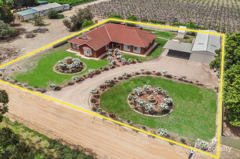 Property photo of 20102 Renmark Avenue Renmark South SA 5341