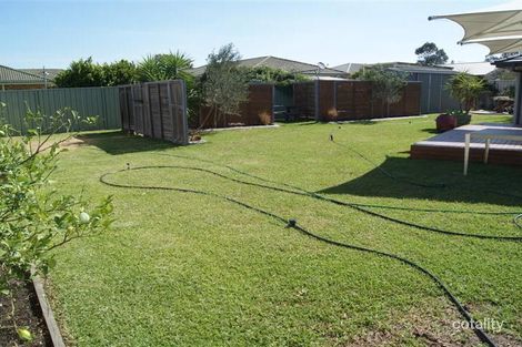 Property photo of 8 Partridge Place Singleton Heights NSW 2330