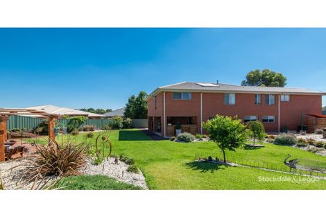 Property photo of 6 Sandbank Court Shepparton VIC 3630