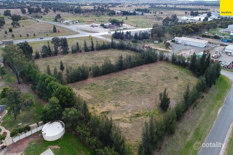 19 Brahman St, Forbes, NSW 2871