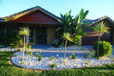 Property photo of 12 Cutter Street Wurtulla QLD 4575
