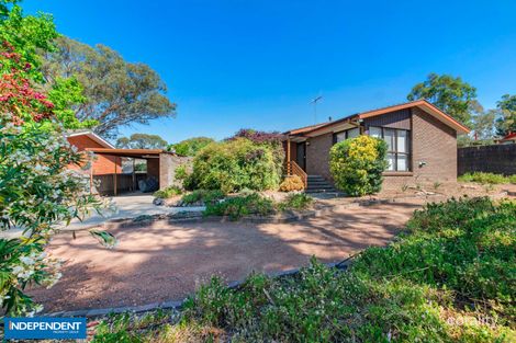 8 Cussen St, Higgins, ACT 2615