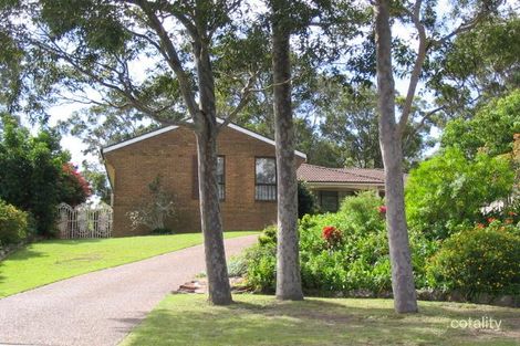 Property photo of 5 Wattle Close Adamstown Heights NSW 2289