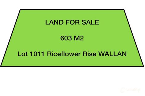 65 Riceflower Rise, Wallan, VIC 3756