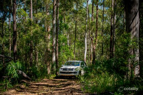 Lot 156 Nowendoc Rd, Knorrit Flat, NSW 2424